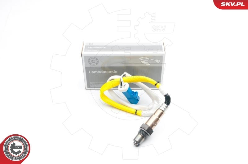 Oxygen Sensor
